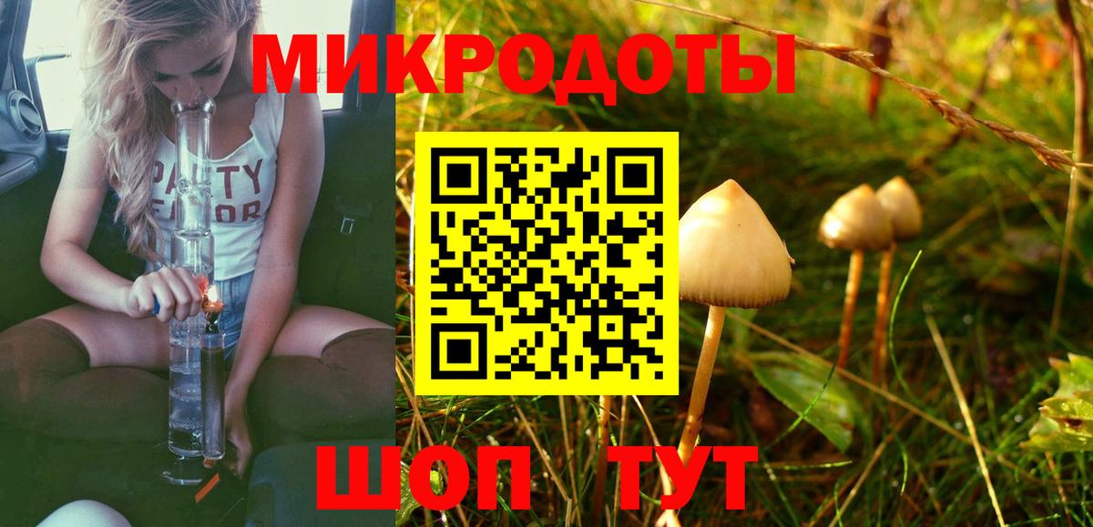 Псилоцибиновые грибы GOLDEN TEACHER  где продают   Топки  Вход с VPN 